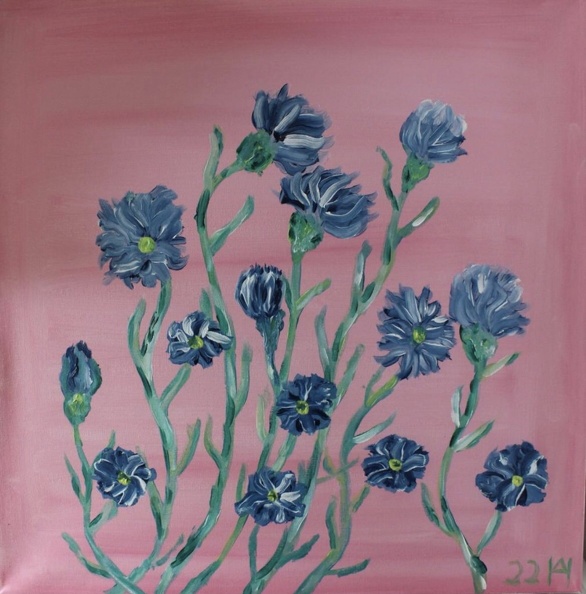 blaue Blumen