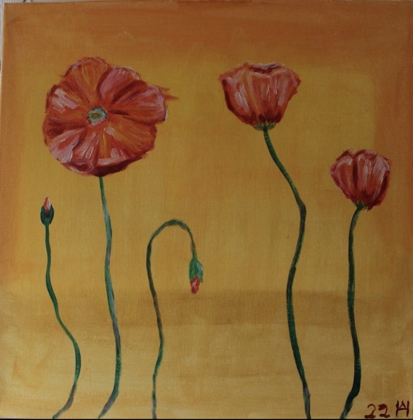 Mohnblumen