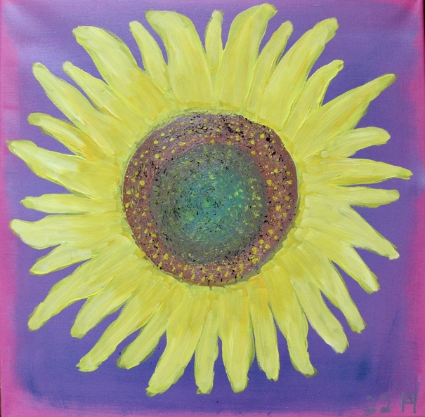 Die leuchtende Blüte einer Sonnenblume