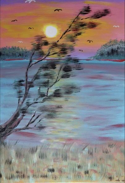 Sonnenaufgang am Bodden