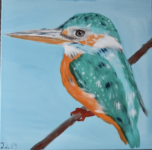 Der Eisvogel