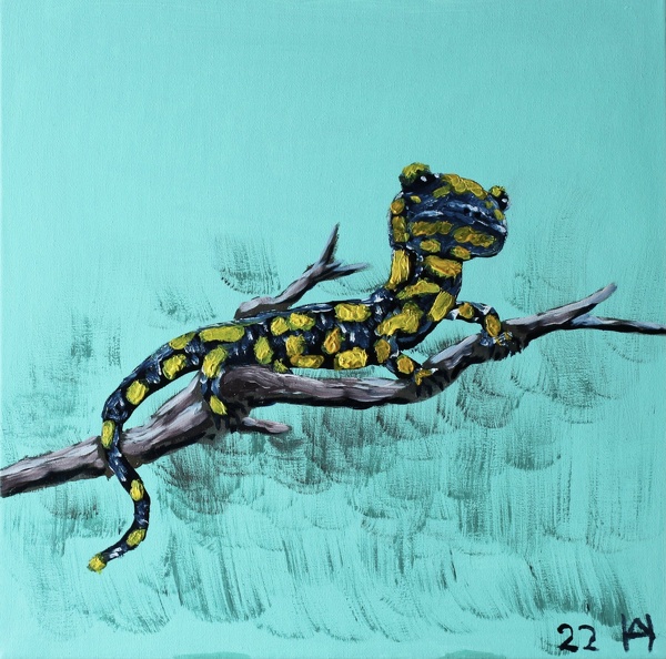 Der Feuersalamander