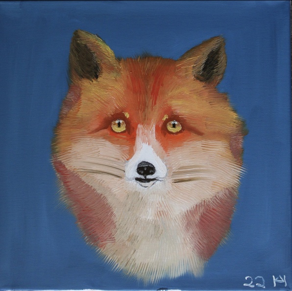 Der Rotfuchs