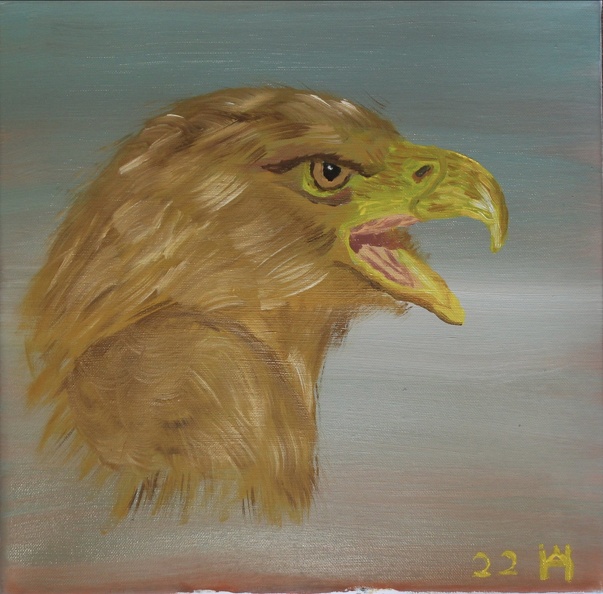 Der Seeadler