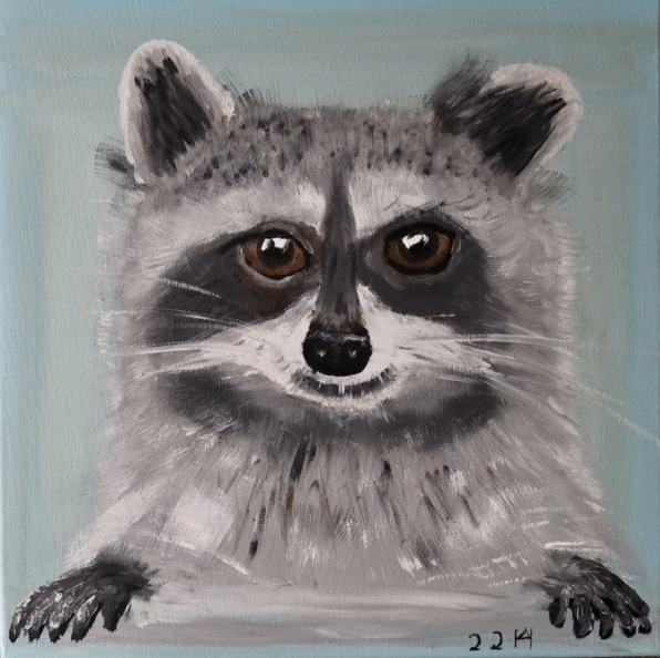 Der Waschbär