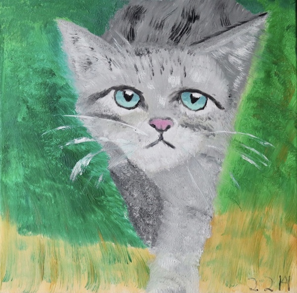 Eine junge Wildkatze auf der Pirsch