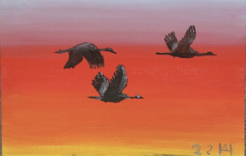 Kranichflug im Abendrot