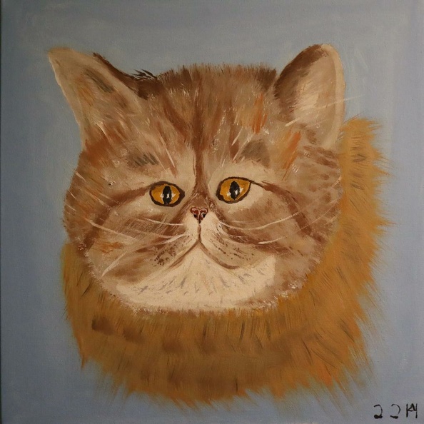 Maggie, die Katze meiner Tochter Anita