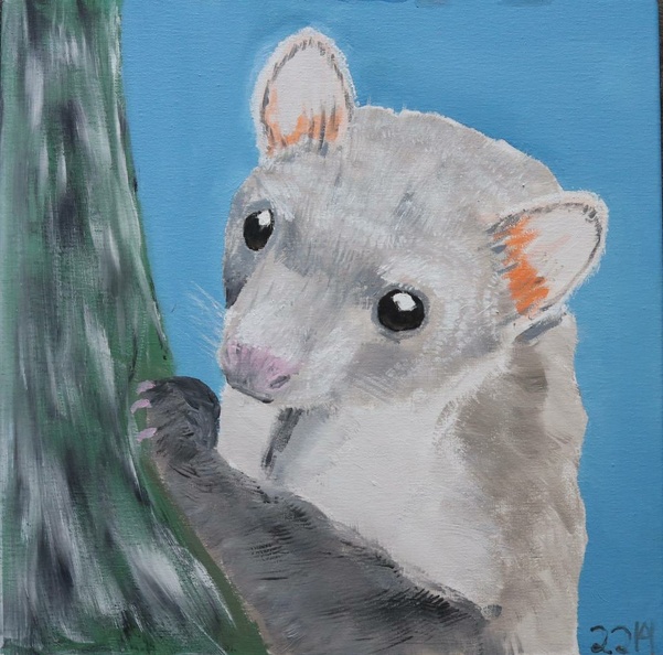 Baummarder