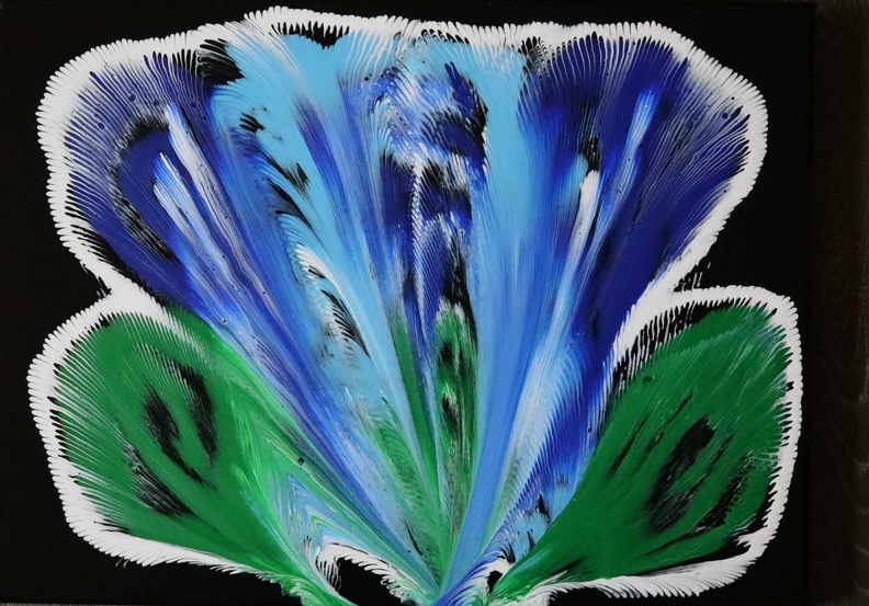 Tanz der blauen Iris