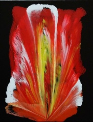 Feuerfedern