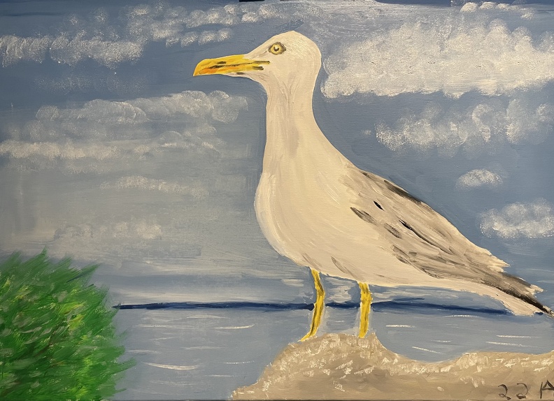 Möwe an der Ostseeküste