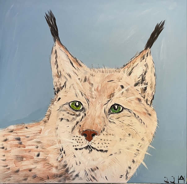 Der Luchs - Heimkehrer in Vorpommern