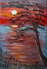 Himmelsglut auf dem Darß