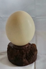 Straußenei naturbelassen