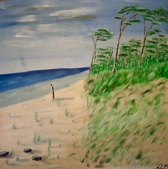 Darßer Weststrand - wild und ungezähmt