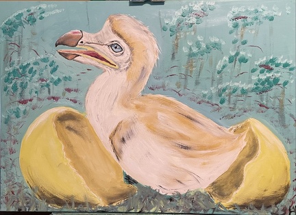 Dodo Kücken - immer ein Einzelkind