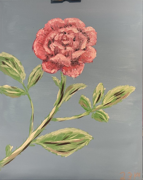 Rose