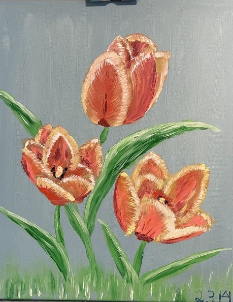 3 Tulpen