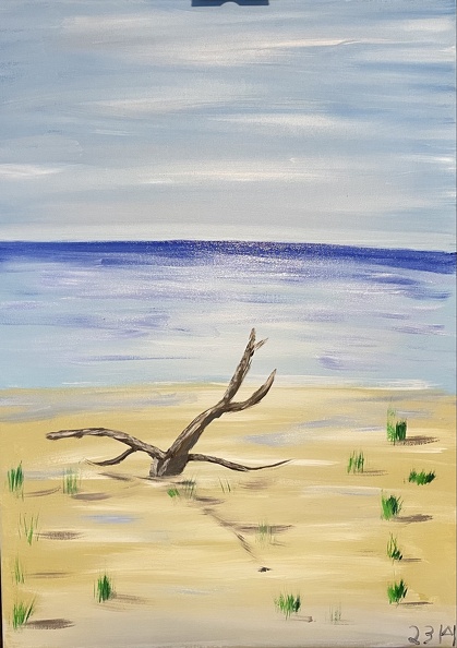 Verzauberter Weststrand