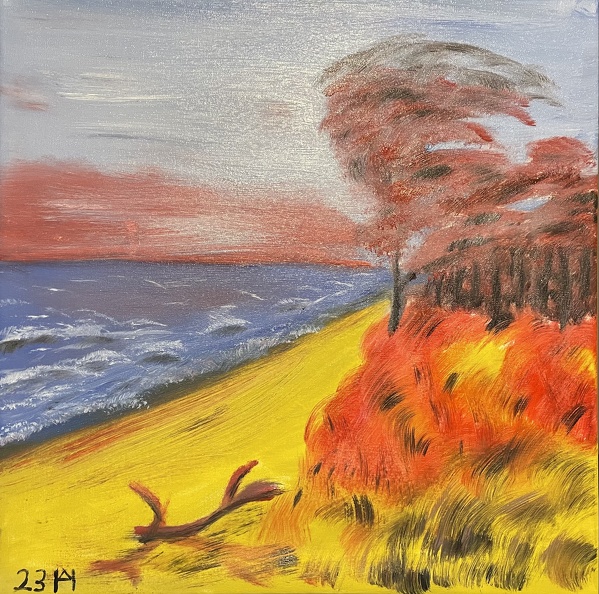 Darßer Weststrand im flammendem Abendrot