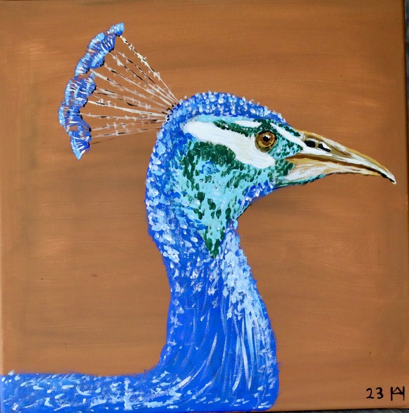 Pfau Portraits