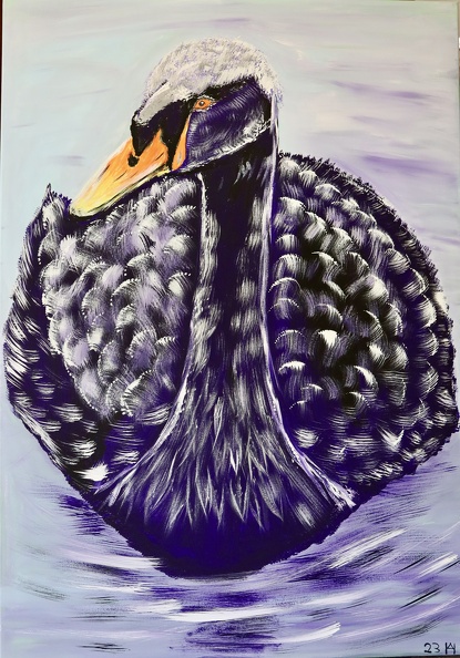 Die schwarze Majestät