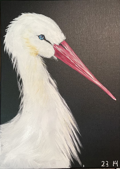 Der Weißstorch