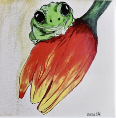Wächter der Tulpe