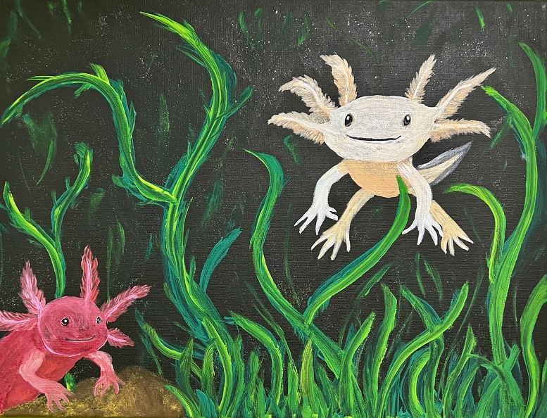 Axolotl
