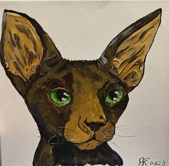 Spinxkatze Portraiut