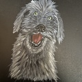 Wolfshund