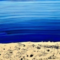 Flüstern der Sandläufer in der blauen Stunde