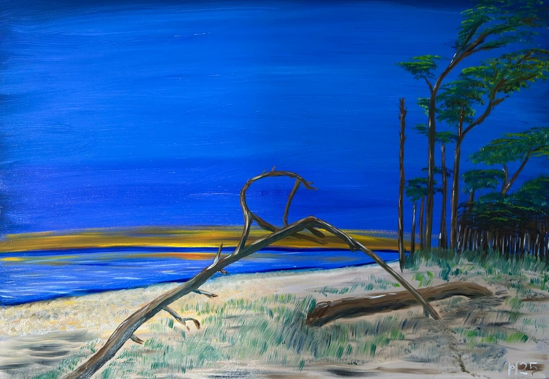 Darßer Weststrand zur blauen Stunde 3