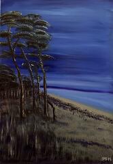 Darßer Weststrand zur blauen Stunde 2