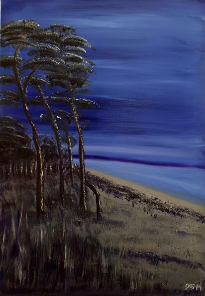 Darßer Weststrand zur blauen Stunde 2