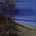 Darßer Weststrand zur blauen Stunde 2